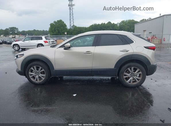 3MVDMBDM4PM573682 2023 MAZDA CX-30 Tan Vista interior de 360 grados