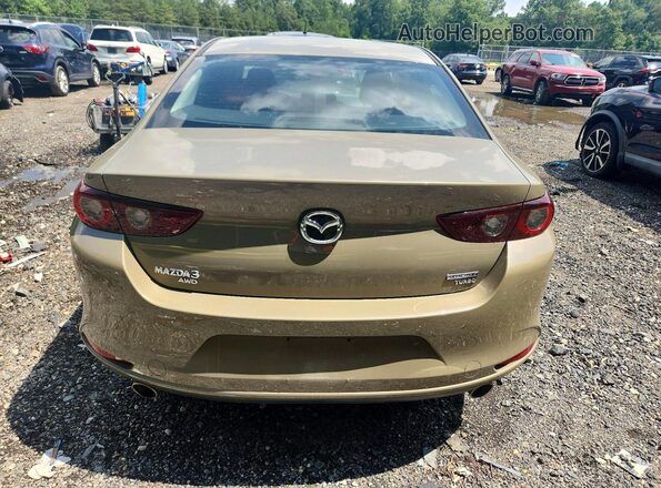 3MZBPBXY3RM409239 2024 MAZDA 3 Brown Rear view