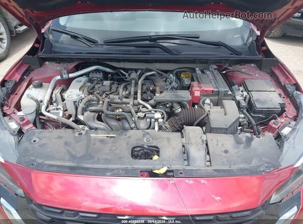 3N1AB8CVXRY206193 2024 NISSAN SENTRA Темно-бордовый Вид сзади