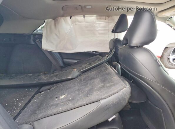 3PCAJ5BA1MF102063 2021 INFINITI QX50 Белый Вид задней части салона
