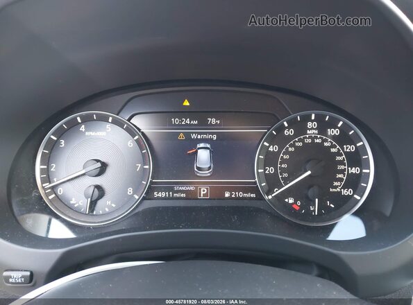3PCAJ5BA2RF108798 2024 INFINITI QX50 Серый Вид задних сидений