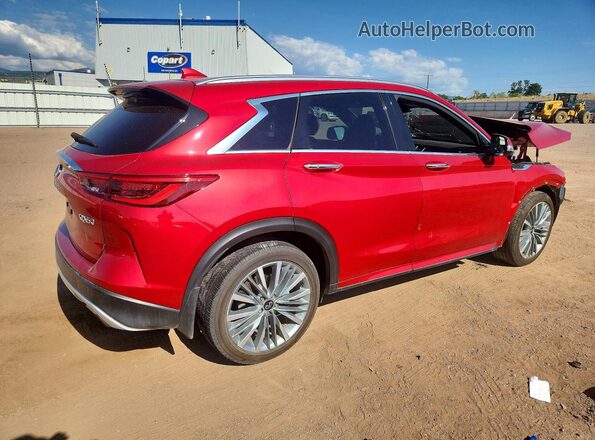 3PCAJ5DB0RF101080 2024 INFINITI QX50 Red Հետևի աջ