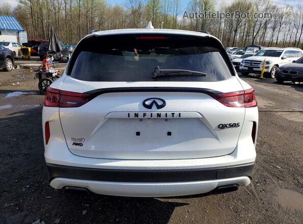 3PCAJ5FB6SF103287 2025 INFINITI QX50 White Հետևի տեսք