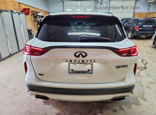 3PCAJ5FB8SF104585 2025 INFINITI QX50 Белый Вид сзади