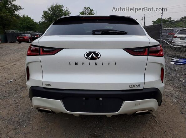 3PCAJ5LR9PF114664 2023 INFINITI QX55 Silver Vista trasera