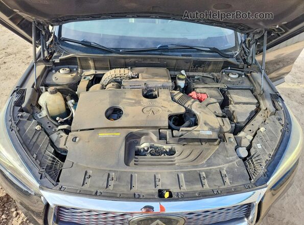 3PCAJ5M12KF103801 2019 INFINITI QX50 Black Rear interior view