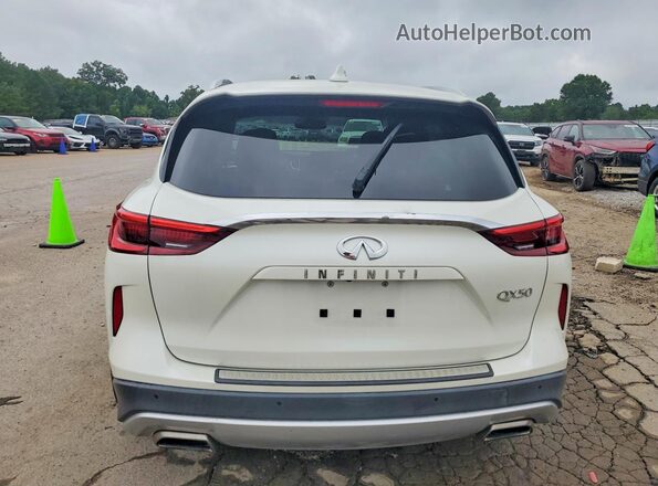 3PCAJ5M17KF117760 2019 INFINITI QX50 Белый Вид сзади