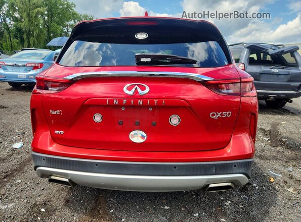 3PCAJ5M30KF135552 2019 INFINITI QX50 Red Հետևի տեսք