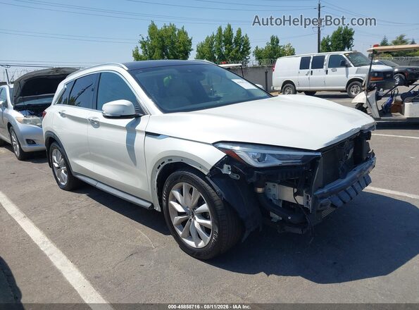 3PCAJ5M37KF113659 2019 INFINITI QX50 White უკანა სალონის ხედი