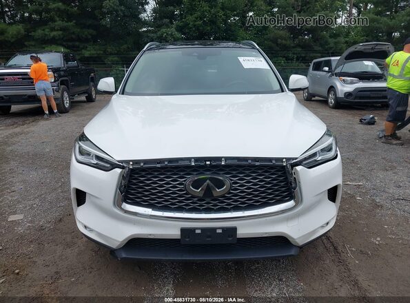 3PCAJ5M37KF126413 2019 INFINITI QX50 Белый Вид задней части салона