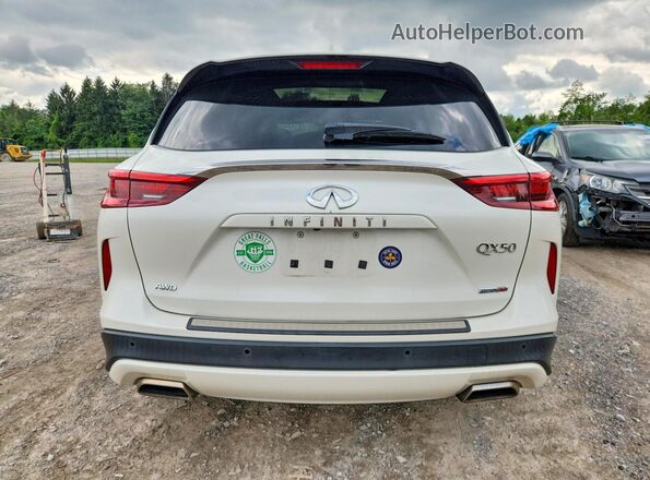 3PCAJ5M39LF118377 2020 INFINITI QX50 Белый Вид сзади