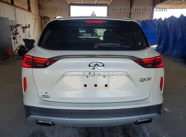 3PCAJ5M3XLF105184 2020 INFINITI QX50 White უკანა ხედი