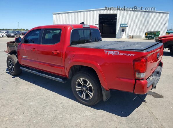 3TMAZ5CN1HM041602 2017 TOYOTA TACOMA Red Հետևի ձախ