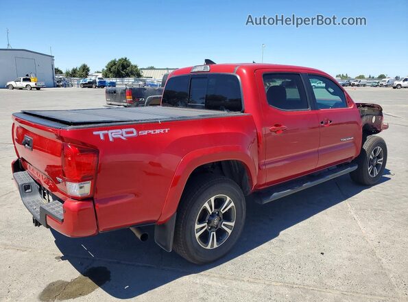 3TMAZ5CN1HM041602 2017 TOYOTA TACOMA Red Հետևի աջ