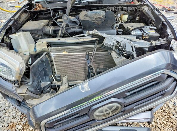3TMBZ5DN4JM013768 2018 TOYOTA TACOMA Gray Սալոնի հետևի տեսք
