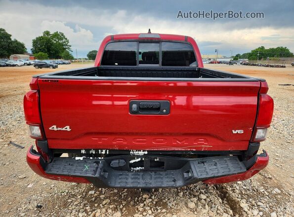 3TMCZ5AN0MM416501 2021 TOYOTA TACOMA Red Вид ззаду