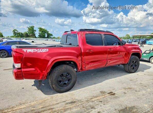 3TMCZ5AN0PM588919 2023 TOYOTA TACOMA Красный Задняя правая четверть