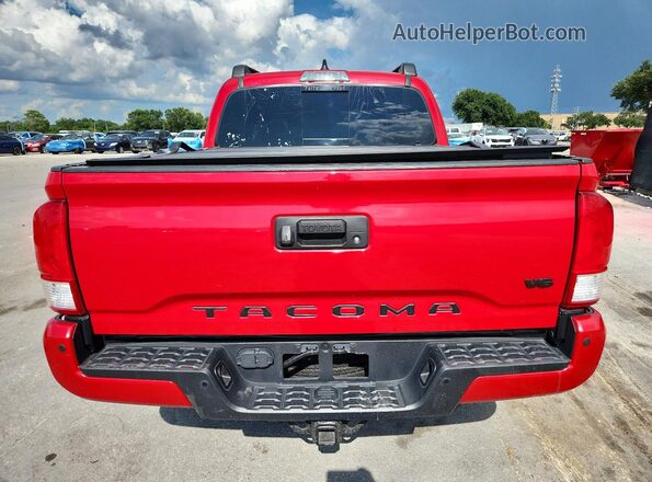 3TMCZ5AN0PM588919 2023 TOYOTA TACOMA Красный Вид сзади