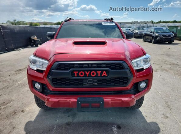 3TMCZ5AN0PM588919 2023 TOYOTA TACOMA Красный Вид спереди