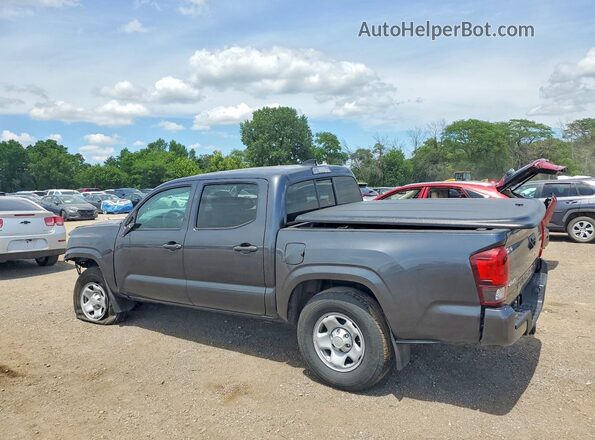 3TMCZ5AN0PM634202 2023 TOYOTA TACOMA Gray Tył lewy