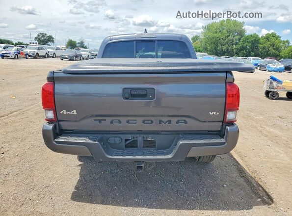 3TMCZ5AN0PM634202 2023 TOYOTA TACOMA Gray Widok z tyłu