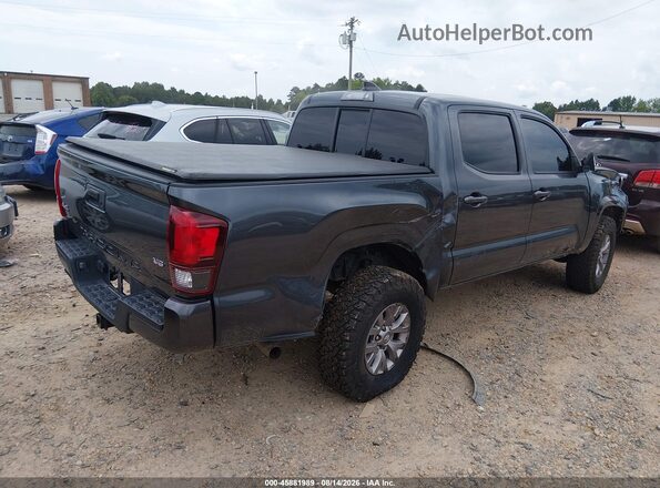 3TMCZ5AN1PM554682 2023 TOYOTA TACOMA Gray უკანა მარჯვენა