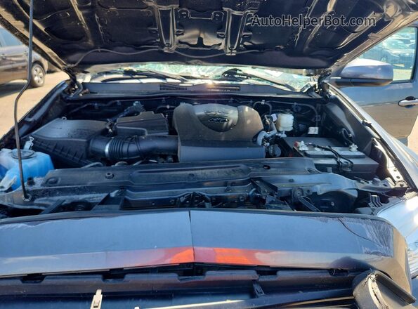 3TMCZ5AN1PM565181 2023 TOYOTA TACOMA Gray Սալոնի հետևի տեսք