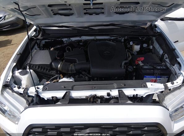 3TMCZ5AN1PM643362 2023 TOYOTA TACOMA White Вид ззаду