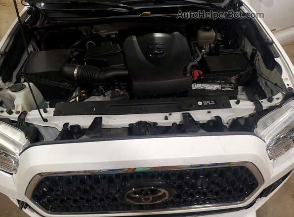 3TMCZ5AN2KM197876 2019 TOYOTA TACOMA White Սալոնի հետևի տեսք