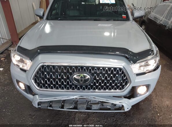 3TMCZ5AN2KM208522 2019 TOYOTA TACOMA Blue Հետևի տեսք
