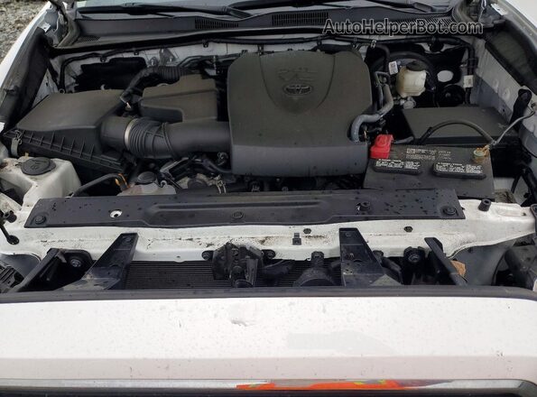 3TMCZ5AN3PM547894 2023 TOYOTA TACOMA Белый Вид задней части салона