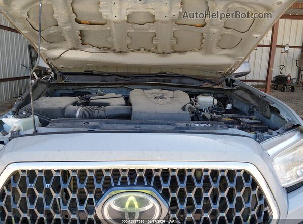 3TMCZ5AN4KM242705 2019 TOYOTA TACOMA Gray Widok z tyłu