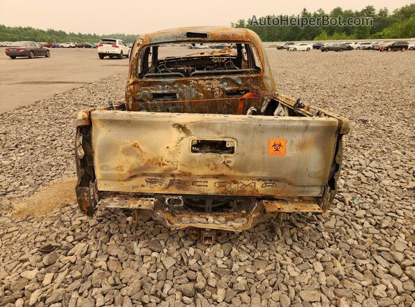 3TMCZ5AN5LM316862 2020 TOYOTA TACOMA Burn Widok z tyłu