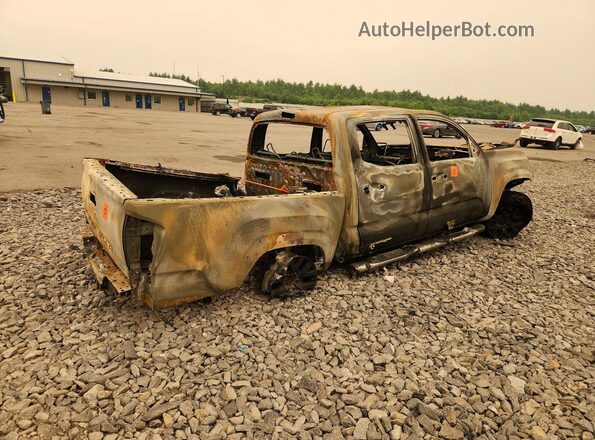 3TMCZ5AN5LM316862 2020 TOYOTA TACOMA Burn Tył prawy