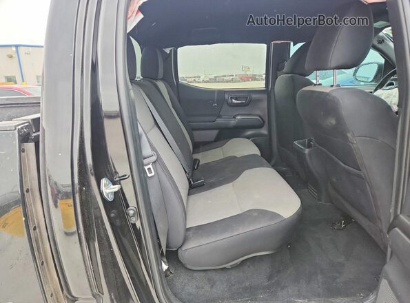 3TMCZ5AN6PM648346 2023 TOYOTA TACOMA Gray უკანა სავარძლების ხედი