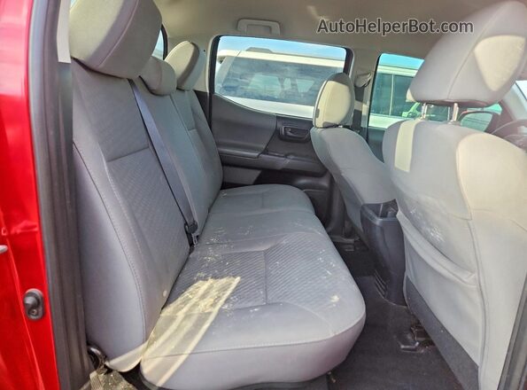 3TMCZ5AN7LM348373 2020 TOYOTA TACOMA Red უკანა სავარძლების ხედი