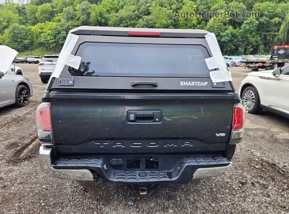 3TMCZ5AN7PM549678 2023 TOYOTA TACOMA Charcoal უკანა ხედი