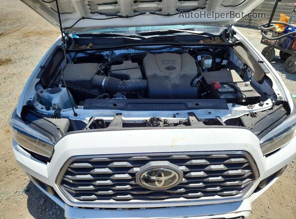 3TMCZ5AN7PM646167 2023 TOYOTA TACOMA Белый Вид задней части салона