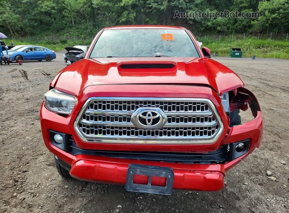 3TMCZ5AN8HM068484 2017 TOYOTA TACOMA Red წინა ხედი