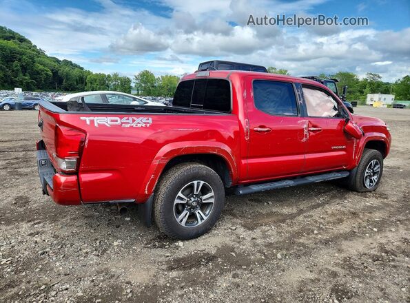 3TMCZ5AN8HM068484 2017 TOYOTA TACOMA Red უკანა მარჯვენა