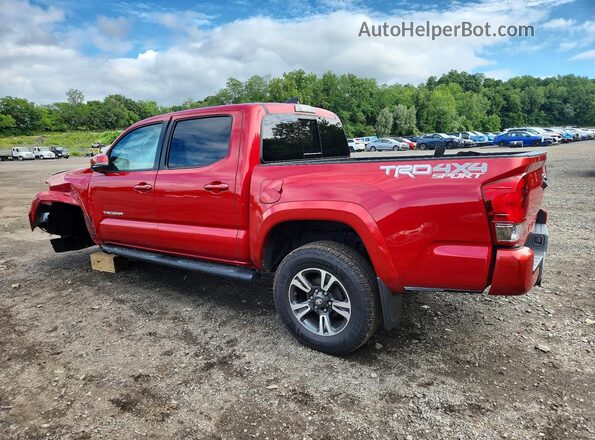 3TMCZ5AN8HM068484 2017 TOYOTA TACOMA Red უკანა მარცხენა