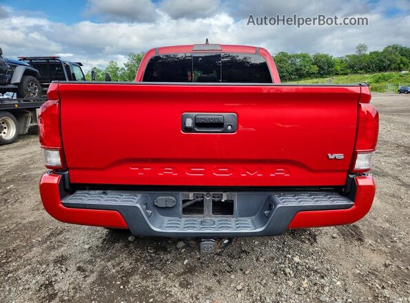 3TMCZ5AN8HM068484 2017 TOYOTA TACOMA Red უკანა ხედი
