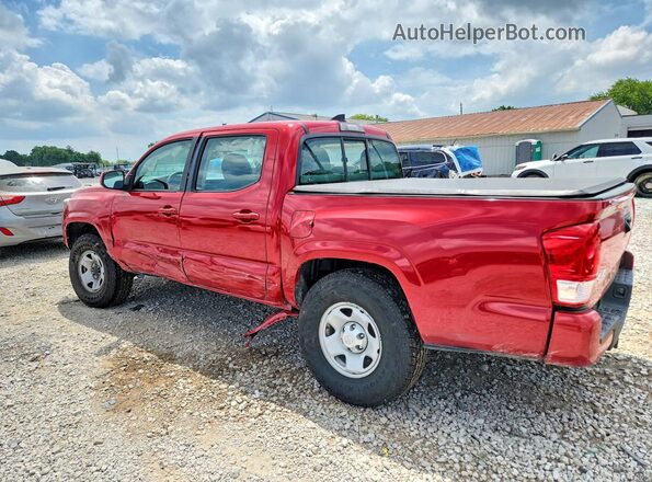 3TMCZ5AN8HM086676 2017 TOYOTA TACOMA Red Trasero izquierdo
