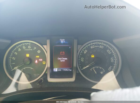 3TMCZ5AN8HM099301 2017 TOYOTA TACOMA Pewter Հետևի նստատեղերի տեսք
