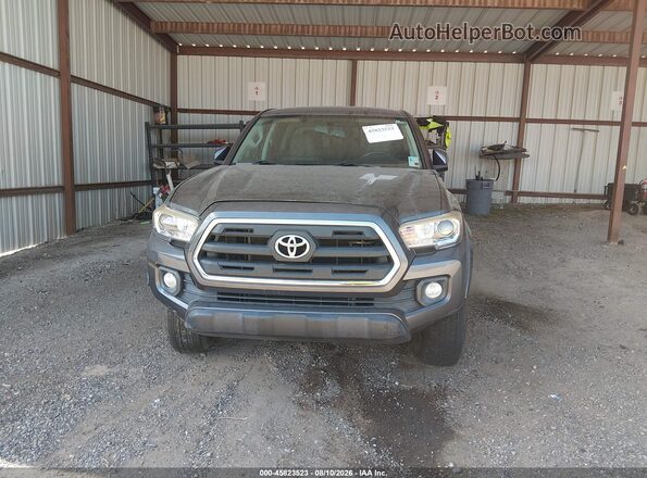 3TMCZ5AN8HM099301 2017 TOYOTA TACOMA Pewter Սալոնի հետևի տեսք