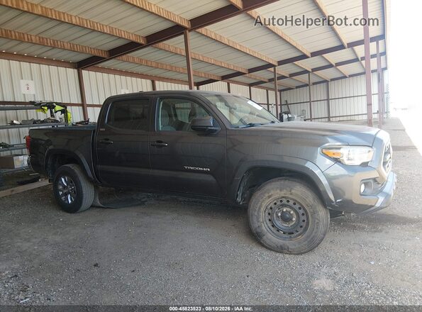 3TMCZ5AN8HM099301 2017 TOYOTA TACOMA Pewter Սալոնի 360 աստիճան տեսք
