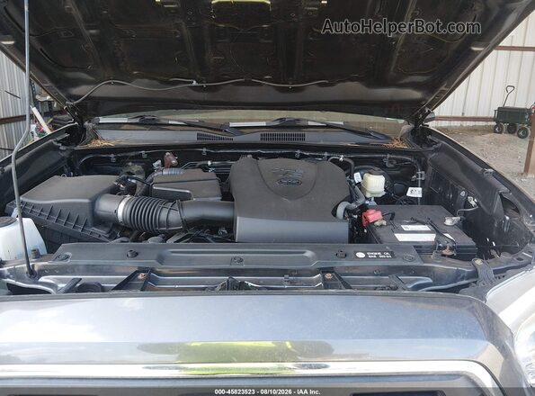 3TMCZ5AN8HM099301 2017 TOYOTA TACOMA Pewter Հետևի տեսք