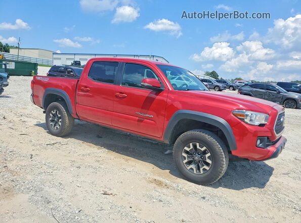 3TMCZ5AN8KM239757 2019 TOYOTA TACOMA Red Առջևի աջ