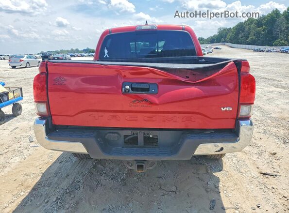 3TMCZ5AN8KM239757 2019 TOYOTA TACOMA Red Հետևի տեսք