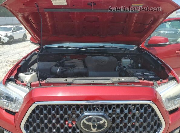 3TMCZ5AN8KM239757 2019 TOYOTA TACOMA Red Սալոնի հետևի տեսք